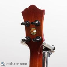Singer RS1K_7