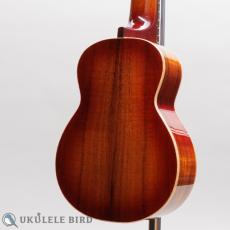 Singer RS1K_9