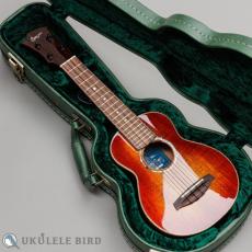 Singer RS1K_13