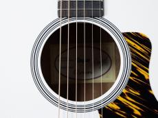 Taylor 【NAMM 発表モデル 限定カラー】GS Mini-e Translucent White_5
