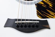 Taylor 【NAMM 発表モデル 限定カラー】GS Mini-e Translucent White_6