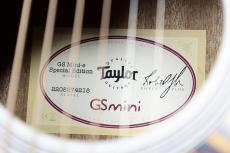Taylor 【NAMM 発表モデル 限定カラー】GS Mini-e Translucent White_10