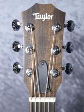 Taylor 【NAMM 発表モデル 限定カラー】GS Mini-e Translucent White_11