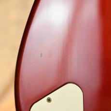 Fender EST-83-110_11