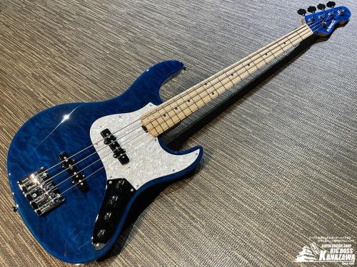Edwards E-AM-150QM【生産完了品! ピックガード交換】