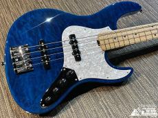 Edwards E-AM-150QM【生産完了品! ピックガード交換】_2