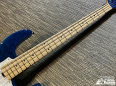 Edwards E-AM-150QM【生産完了品! ピックガード交換】_3