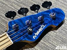 Edwards E-AM-150QM【生産完了品! ピックガード交換】_4