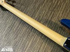 Edwards E-AM-150QM【生産完了品! ピックガード交換】_6