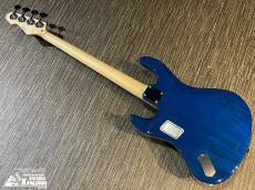 Edwards E-AM-150QM【生産完了品! ピックガード交換】_7
