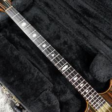 ALEMBIC SCSSB Stanley Clarke_4