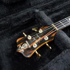 ALEMBIC SCSSB Stanley Clarke_5