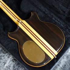 ALEMBIC SCSSB Stanley Clarke_7