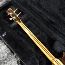 ALEMBIC SCSSB Stanley Clarke_8