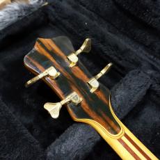 ALEMBIC SCSSB Stanley Clarke_9