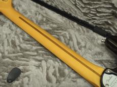 Fender American Ultra II Stratocaster Ebony Fingerboard Texas Tea_5