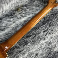 Tokai LS-101S/WA GT_9