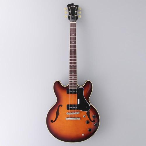 FUJIGEN MSA-SP/AS(Antique Sunburst)- "Masterfield MSA"