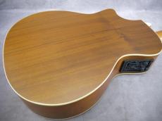 Taylor 454CE-LTD _10
