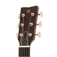 YAMAHA FSX5 *2024　_7