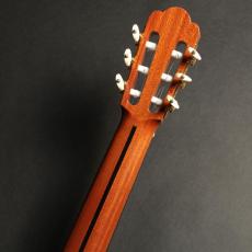 ASTURIAS ルネッサンス/S(ドイツ松)650mm_9