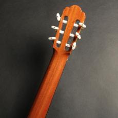 ASTURIAS カスタムS(ドイツ松/650mm)_9