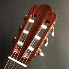 ASTURIAS プレリュード/S (ドイツ松)650mm_8