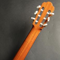 ASTURIAS プレリュード/S (ドイツ松)650mm_9