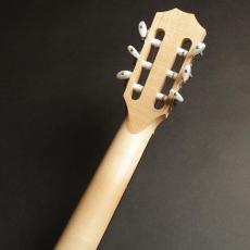 Taylor LTD EG Academy 12e-N 　☘☘環境に配慮した新しいタイプのクラシックギター☘☘_9