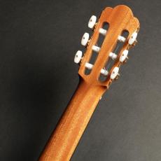 ASTURIAS プレリュードS(ドイツ松/640mm)_9