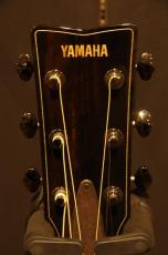YAMAHA FG9 60TH_10