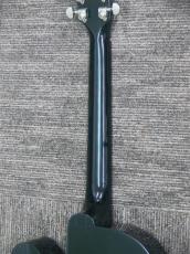 Gibson EC-10 Standard Ebony_10