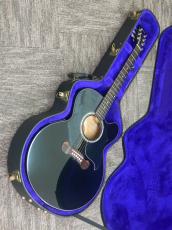 Gibson EC-10 Standard Ebony_12