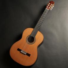 ASTURIAS カスタムC(杉/650mm)_2