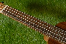 DCT DUP-152K SopranoPineapple_7