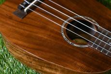 DCT DUP-152K SopranoPineapple_10