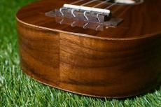 DCT DUP-152K SopranoPineapple_12