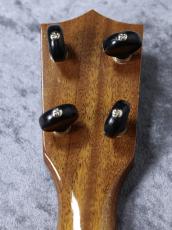 Ceniza 【ソプラノ】Pineapple Long Neck【中古】_10