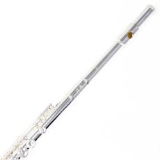 Altus A9E_2