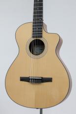 Taylor 112ce-Nylon 【エレガット】【弾きやすいネック!】