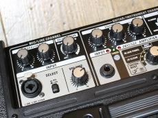 Roland Cube Street_3