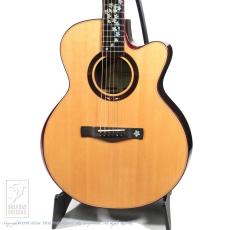 AYERS(エアーズ)、アコースティックギター/エレアコの検索結果1～14件