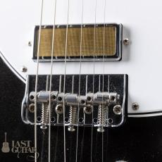 Harmony Silhouette w/Bigsby_4