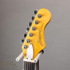 Harmony Silhouette w/Bigsby_7