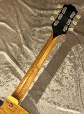 KING SNAKE 【NEW】One Bone T Amber Natural sn OBT-013 [2.51kg]【G-CLUB TOKYO】_8