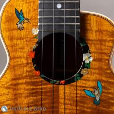 aNueNue aNN-US3K-UB 5th Anniversary LTD_4