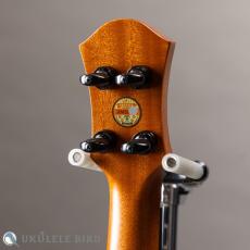 aNueNue aNN-US3K-UB 5th Anniversary LTD_7