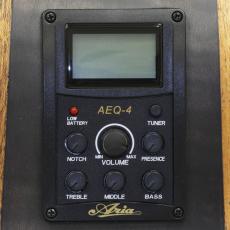 ARIA FET-F2 -STBR(Stained Brown)- エレアコ【Webショップ限定】_4