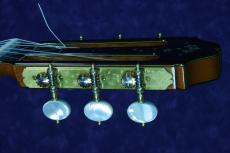 桜井正毅 P.C　MAESTRO-21/640mm　杉/300年ハカランダ_5