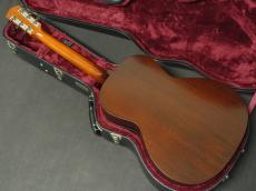 Waterloo WL-14XTR Sunburst_2